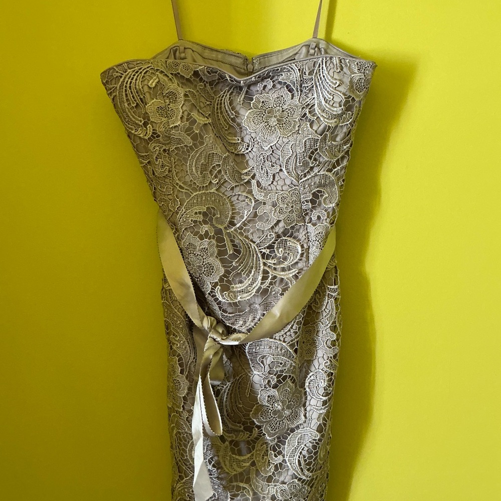 Adrianna Papell Lace Embroidered Strapless Cocktail Dress Preppy